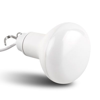 Office USB Powered Light Bulb Lamp Brilliant Warm White Light Bulbs